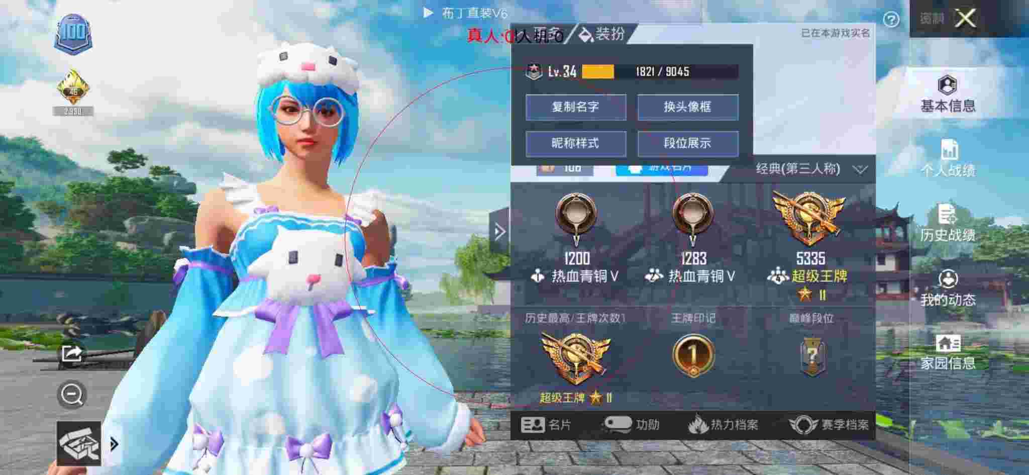 和平精英布丁直装透视 - 和平辅助店卡包效果图辅助预览图